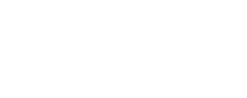 LogoWebNorushV4